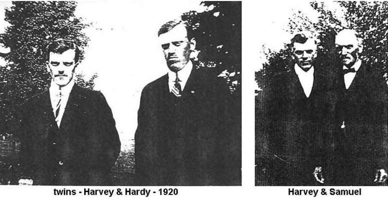 Hardy